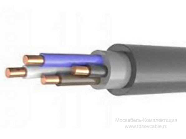 общий вид кабеля ВБШв 5